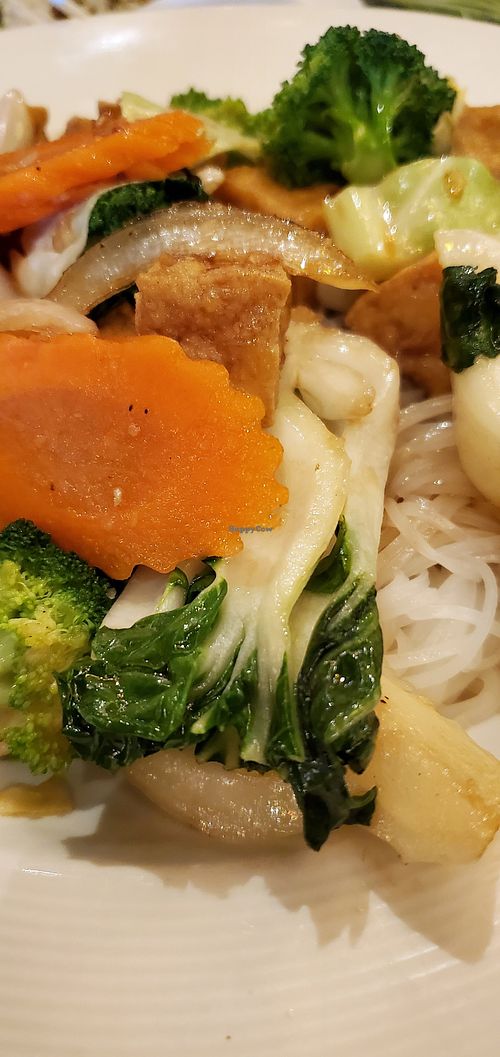 Tofu Stir Fried Noodles at Hello Vietnam Pho & Roll in Peoria