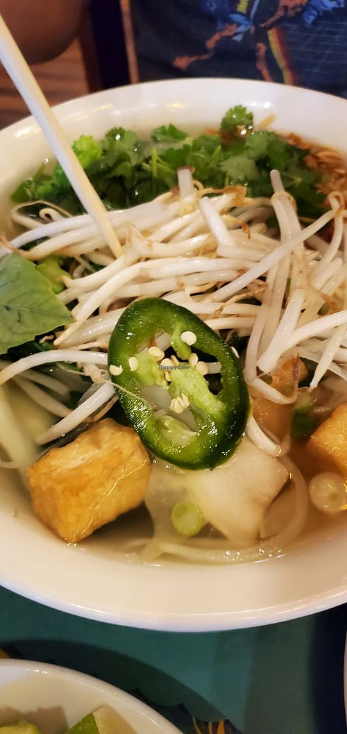 Vegan Pho at Hello Vietnam Pho & Roll in Peoria