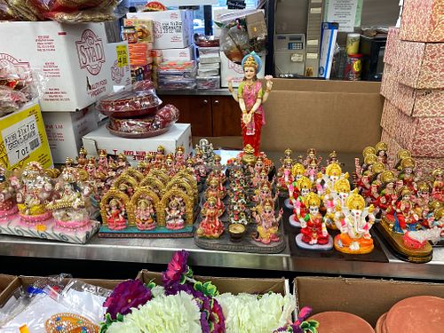 Pretty stuff at Patel Brothers in Tampa