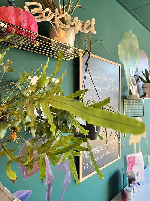   at Plant N Vibe – Street Food by Plant N Plate in Birmingham