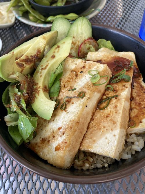 Bento bowl for lunch with tofu, avocado, and a small salad  at Japanese Grandma's in Hanapepe