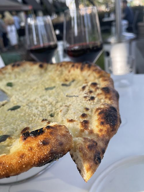 Four cheese pizza at Sestina - Culver City in Culver City