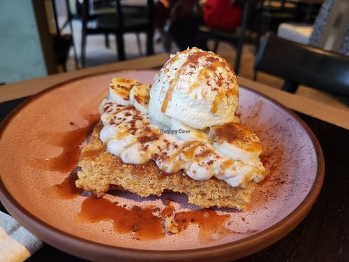 PLANTA Queen Hair Saloon