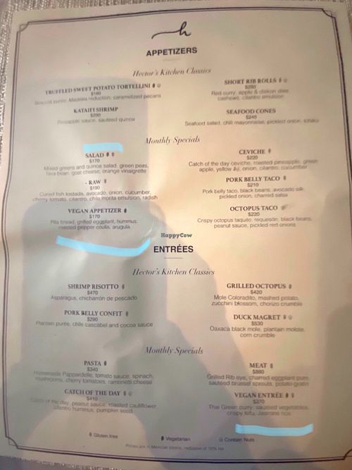 English menu at Hectors Kitchen in Punta De Mita