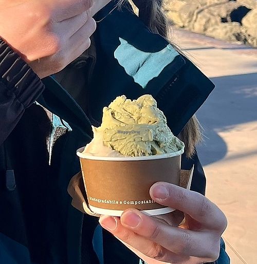 Walnut and Pistachio gelato #Veganuary at Vivaldi Bar Gelateria in Desenzano Del Garda