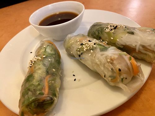 summer rolls at Loving Hut in Hamburg