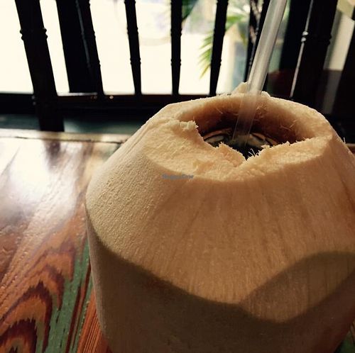 Fresh coconut water at Carmo in New Orleans