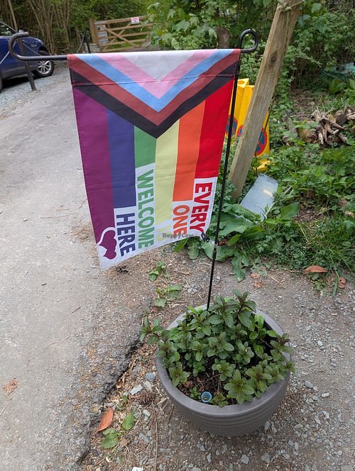  at New Dawn Vegan Coffee Shop in Borrowdale