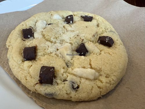 cookie  at Rebels in Bamberg