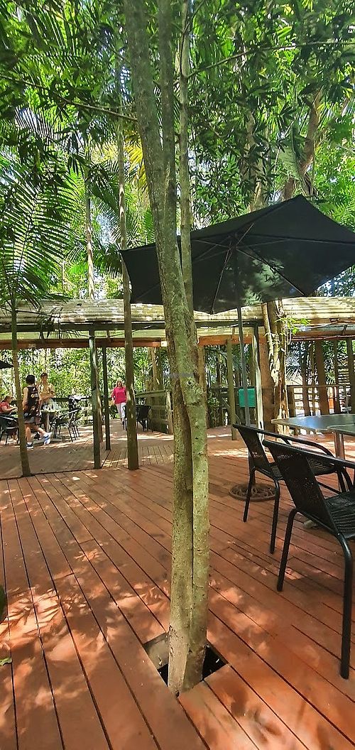 Cafe veranda at LEAF in Mount Glorious