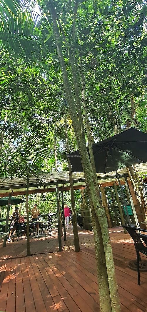 Cafe veranda at LEAF in Mount Glorious