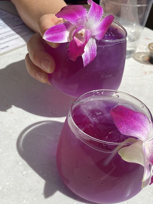 Garden of Zen (Gin and Juice)   at Morning Nights in Long Beach