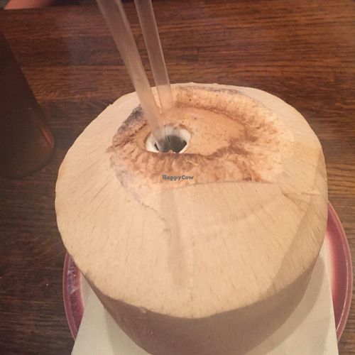 drinking out of a coconut :)  at Kaya's Kitchen in Belmar