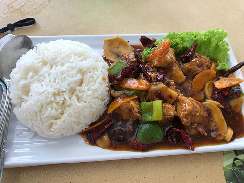 Kong poh chicken rice at Zi Zai Vegetarian 自在齋 - Bishan in Central Singapore