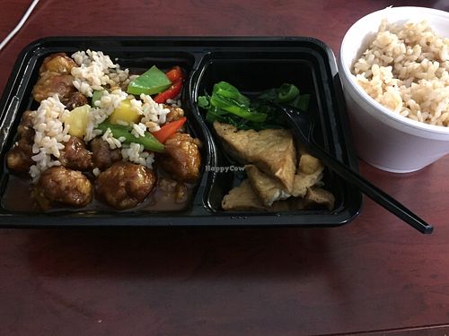 Sweet and Sour combo  at 4 Stones Vegetarian Cuisine in Richmond