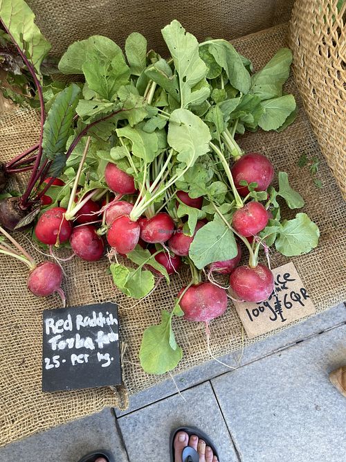 Beautiful veg for sale😄 at Torba Farmers Market  in Doha