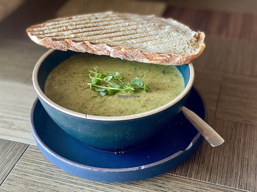 Vegan Cream of Broccolini soup  at PublicUs in Las Vegas