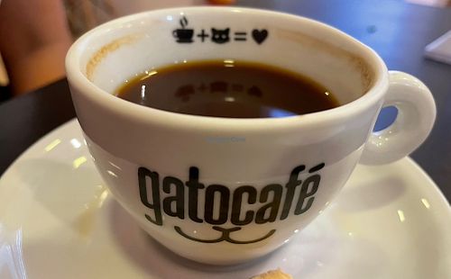  #Veganuary at Gato Café in Rio De Janeiro