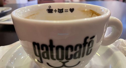   at Gato Café in Rio De Janeiro