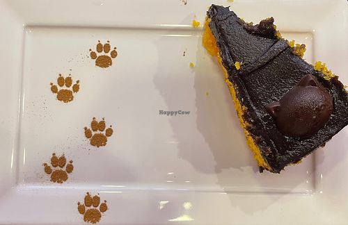   at Gato Café in Rio De Janeiro