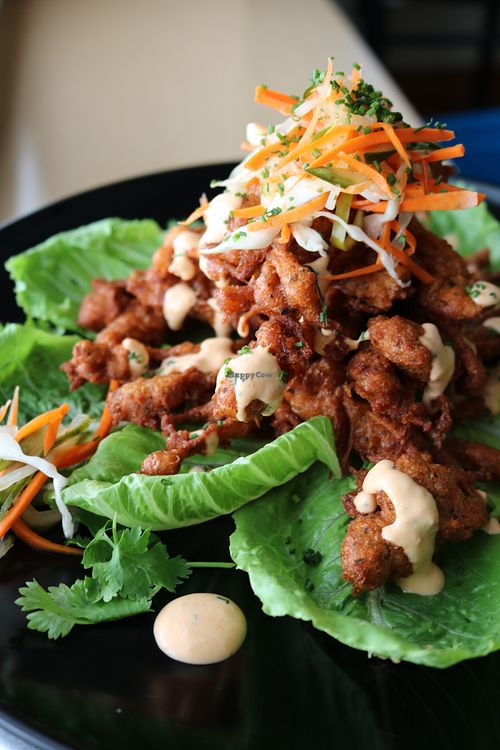 Image of The Vegan Club