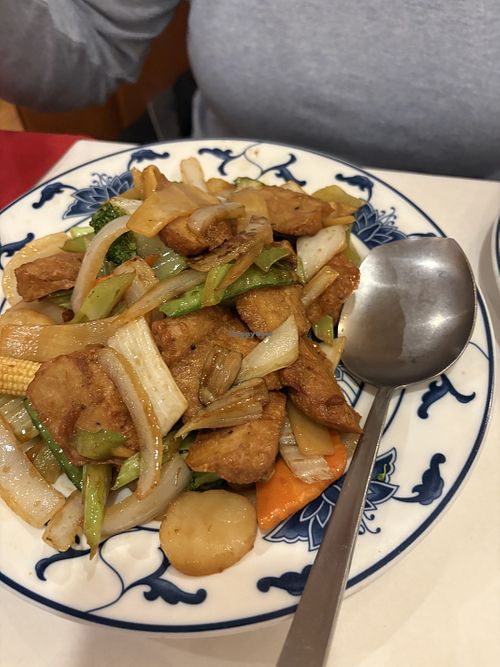 Vegan chicken and veggies. So good   at China Pavillion in Orange