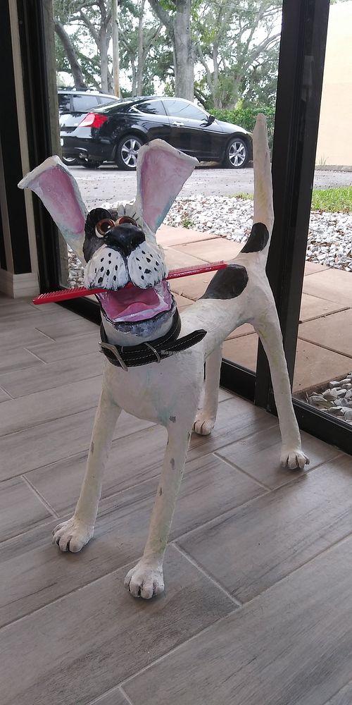 My mascot.  😊 at Runs With Scissors in Palm Harbor