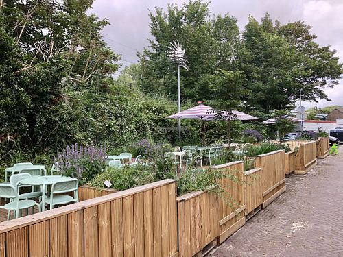 Terras at Mama Gaia in Haarlem