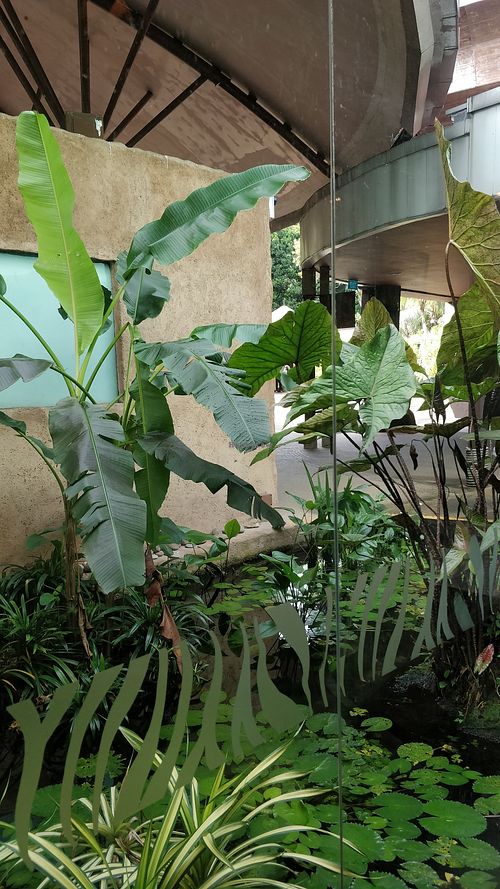 Nice ambience at The Social Kitchen - Jurong Bird Park in West Singapore