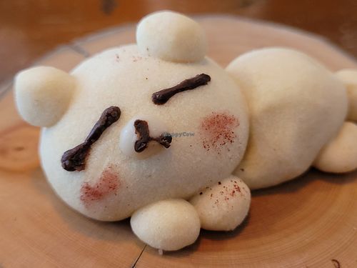 ADORABLE bear cookie! at The Little Poet in Hobart