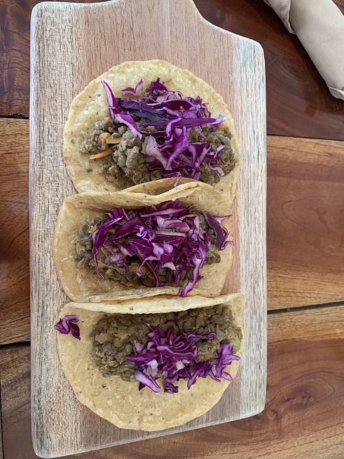 Lentil tacos   at Casa Maca in Valladolid