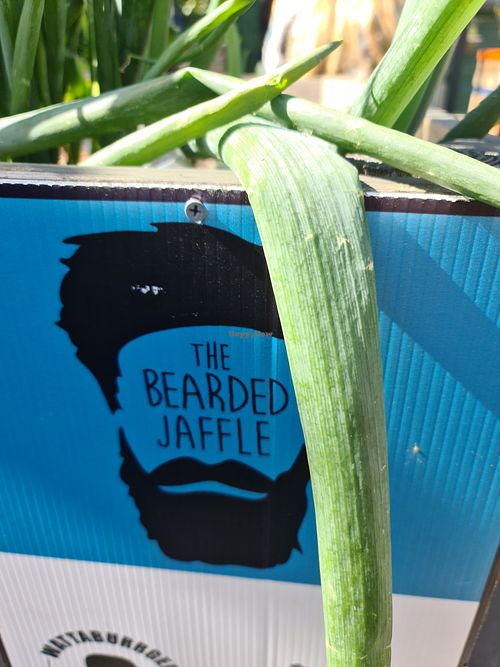 Look for the sign at The Bearded Jaffle in St Kilda