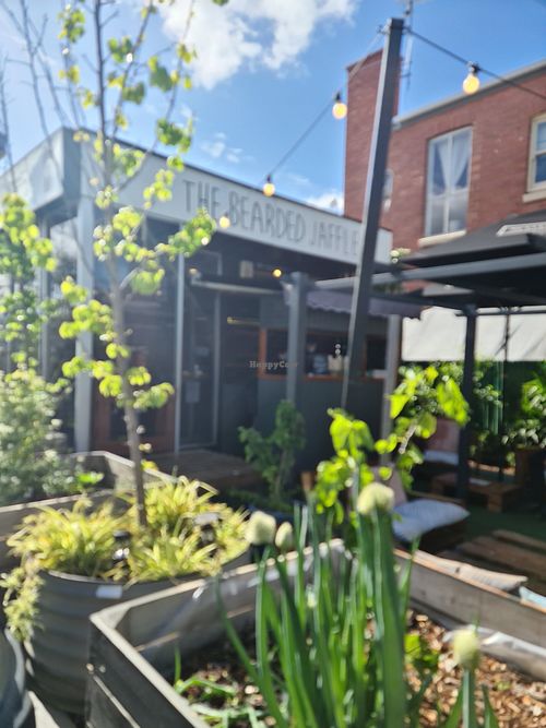 From the outside at The Bearded Jaffle in St Kilda