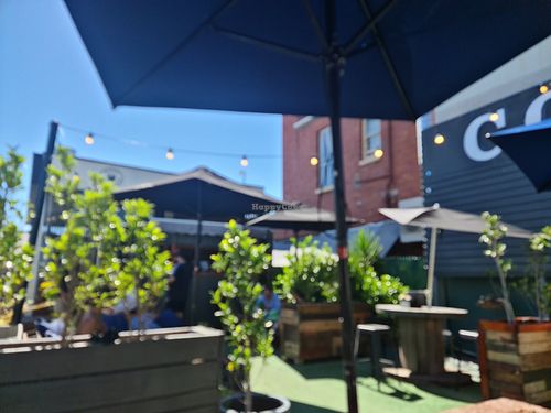 Garden at The Bearded Jaffle in St Kilda