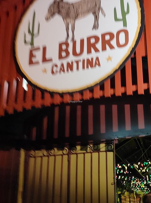  at El Burro Cantina in Tamborine Mountain