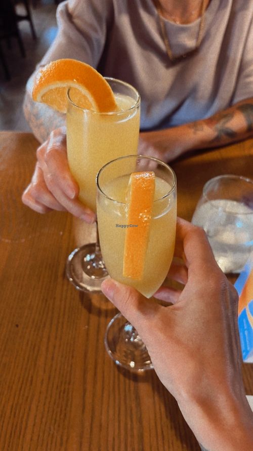 Mimosa   at Milestones in Ancaster