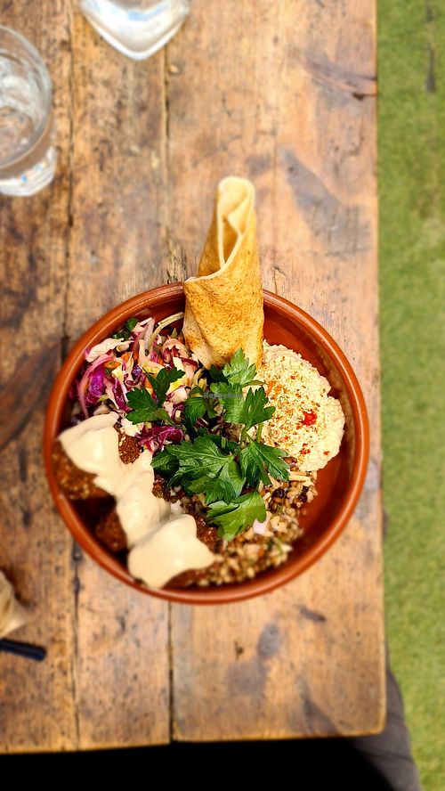 Falafel plate at Advieh in Seddon