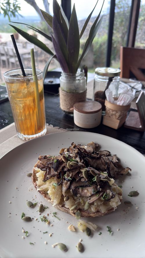 Sourdough with chucrut , hummus and shiitake toastt  at Senja Restaurant in Gerokgak