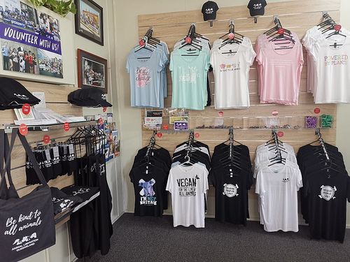 Lots of vegan shirts and other merch at Animal Liberation Queensland in Annerley