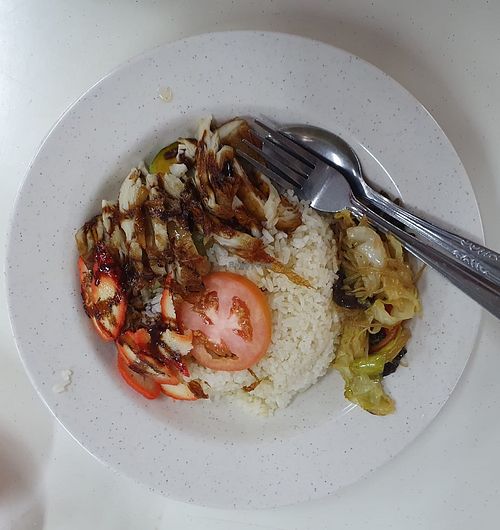 Chicken rice. Photo by Sam Lama at Vegetarian 斋 - Khatib in North Singapore