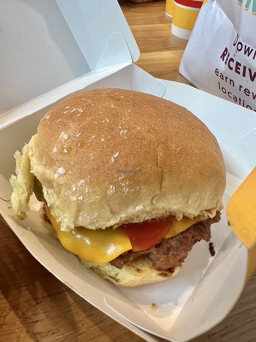 Kids cheeseburger   at PLNT Burger in Mclean