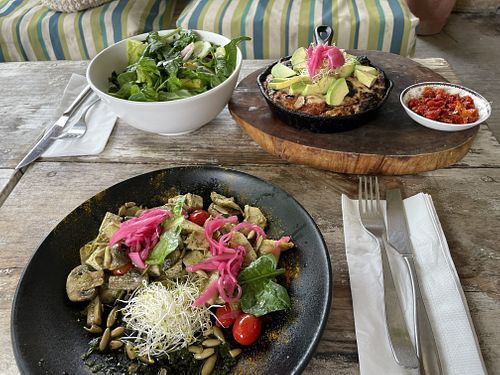 Tofu with veggies, too oily for us  at Layla Restaurant Plants & Mushrooms in Puerto Morelos