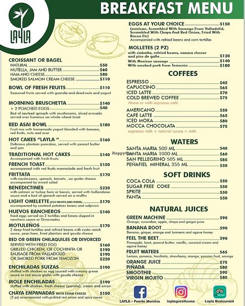 they don't even have any vegan options at Layla Restaurant Plants & Mushrooms in Puerto Morelos