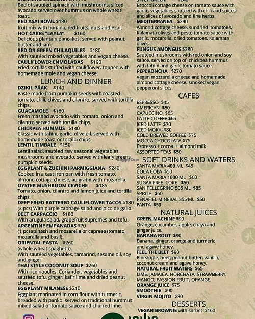  at Layla Restaurant Plants & Mushrooms in Puerto Morelos