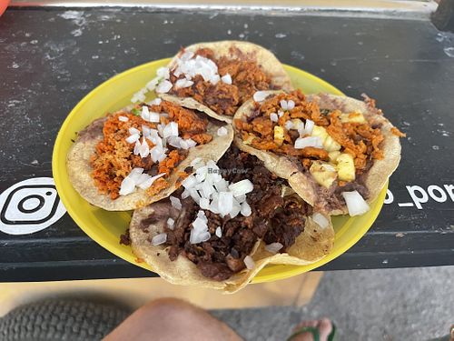   at Perro No Come Perro in Tulum