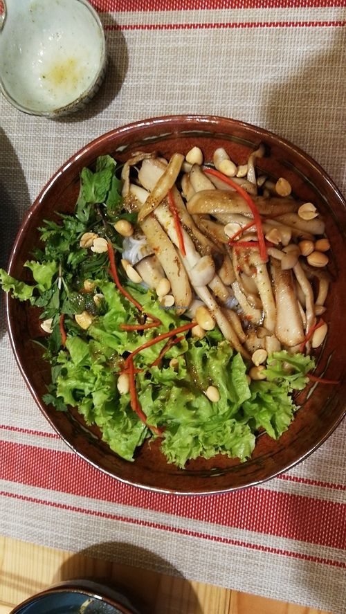 Image of VEJO - The Vege Journey