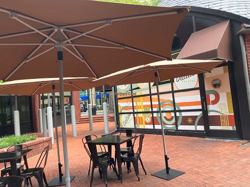  at Dalia's Falafel in Kensington