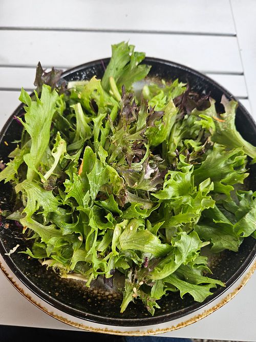  at Ti Tree Cafe in Waihi