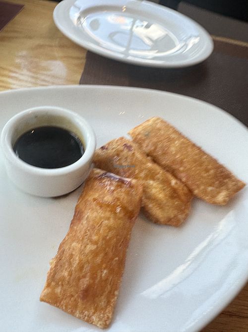 "spicy” kimchi dumplings  at Thaiverse in Middleburg