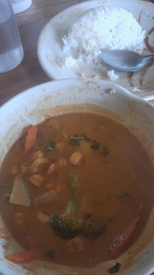 Massaman Curry with Mixed Veggie (already half eaten) at Thai Orchid in Eau Claire